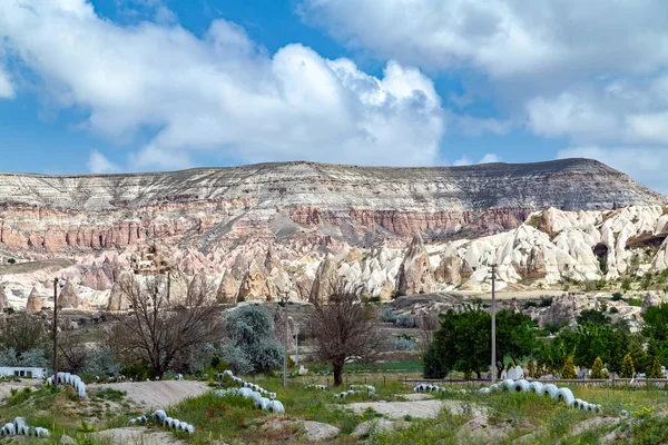 Tour Rose Valle Goreme Open Air Museum Cappadocia landscape, Tur — стокове фото