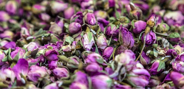 Naturopathy and homeopathy of dried petals of rose — Stock Photo, Image