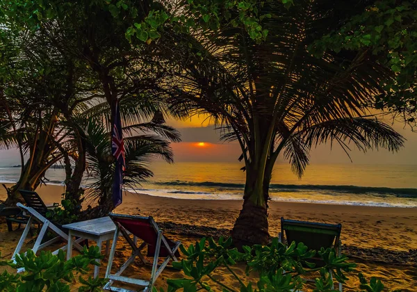 Пляж Палм на закате или восходе солнца — стоковое фото