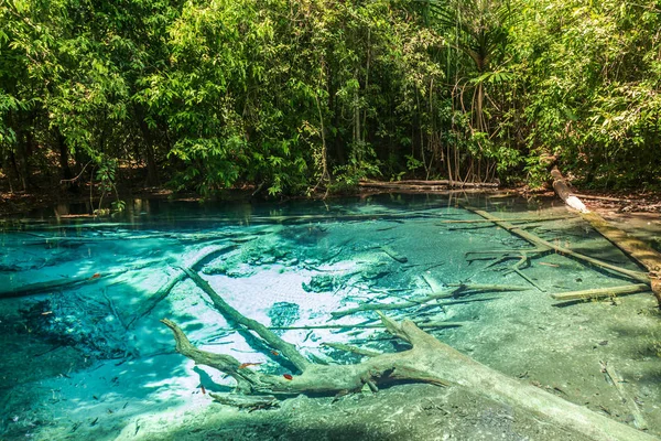 Smaragdový bazén Krabi Thajsko — Stock fotografie