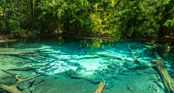 Szmaragdowy basen Krabi Tajlandia — Zdjęcie stockowe