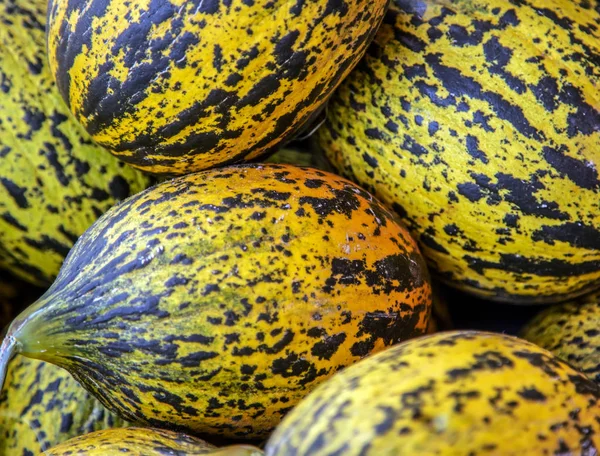 Meloenen groente fruit achtergrond — Stockfoto