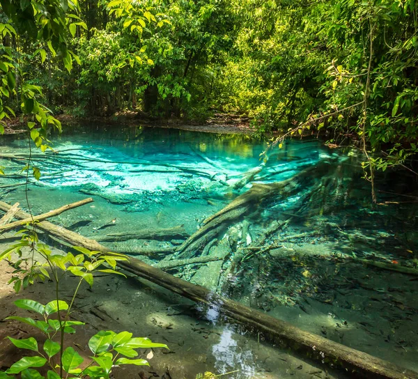 Emerald Pool Krabi forêt tropicale Thaïlande — Photo