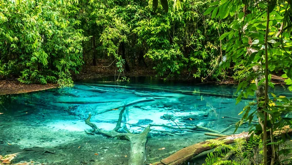 Prohlídka džungle včetně křišťálového bazénu a Krabi Hot Springs the — Stock fotografie