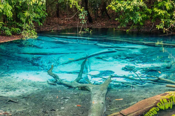 Smaragdový bazén Krabí deštný prales Thajsko — Stock fotografie
