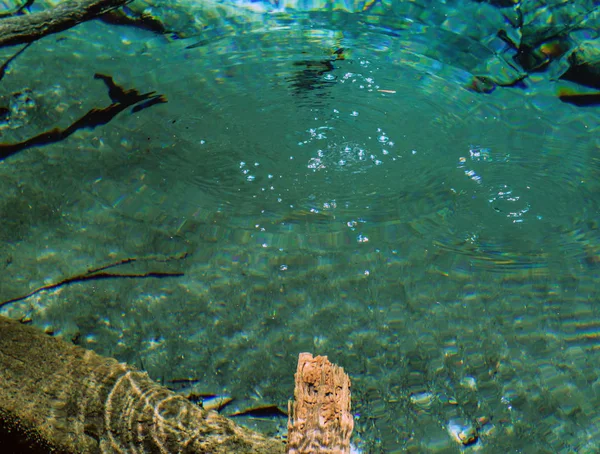 Изумрудно-голубой бассейн (Sra Morakot) Krabi Thailand . — стоковое фото