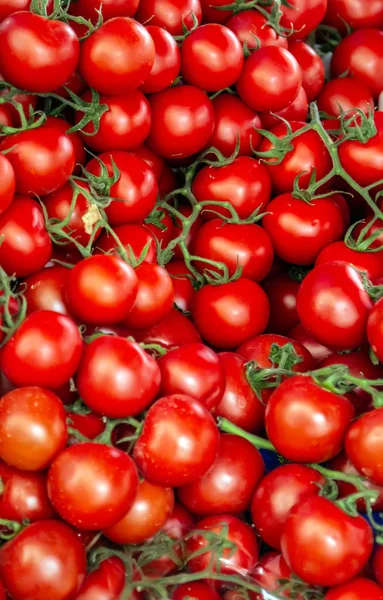 Ripe red tomatoes closeup vegetable background Top view — Stock Photo, Image
