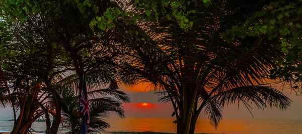 Пальмовий пляж під час заходу сонця або сходу сонця. — стокове фото