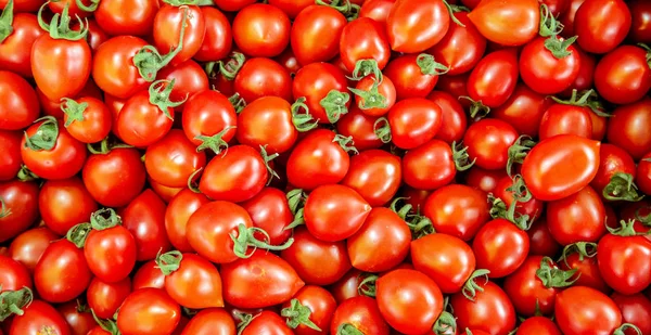 Tomato ripe red tomatoes closeup vegetable background Top view — Stock Photo, Image