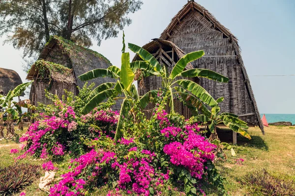 Ökotourismus-Bungalow — Stockfoto