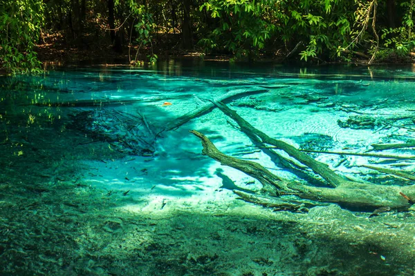 Esmeralda piscina Krabi selva Tailandia —  Fotos de Stock