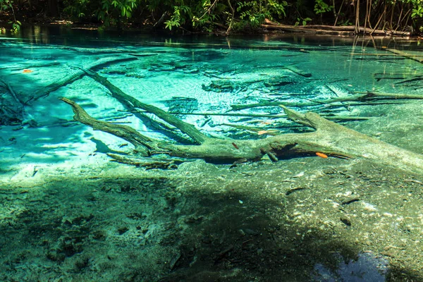 Prohlídka džungle včetně křišťálového bazénu a Krabi Hot Springs the — Stock fotografie