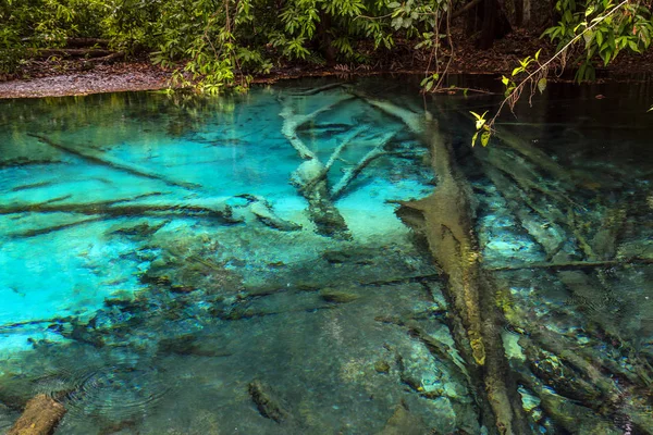 Emerald Pool água azul clara na floresta tropical — Fotografia de Stock