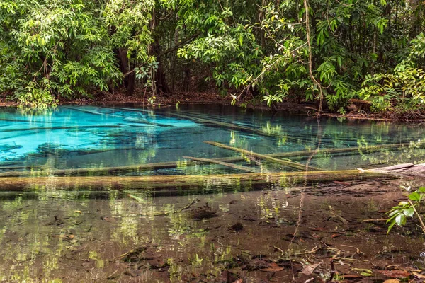Emerald Pool Krabi Province, Thailand — Stock Photo, Image