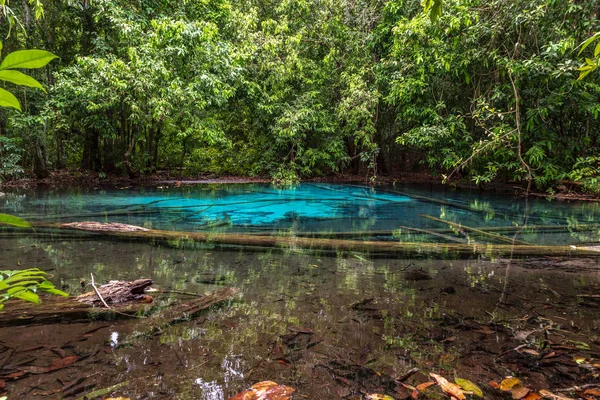 Jungle Tour Including Crystal Pool and Krabi Hot Springs Thailan — Stock Photo, Image