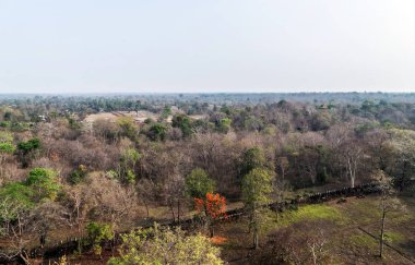 Safran portakal rengi Bodhi Ağacı veya Bodhi İncir Ağacı Tapınağı Çakın Bana