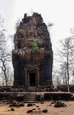 Prasat Pram Tapınağı Koh Ker Kamboçya 'yı harap etti