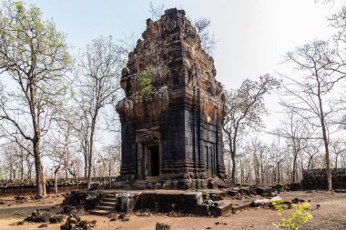 Prasat Pram Tapınağı Koh Ker Kamboçya 'yı harap etti