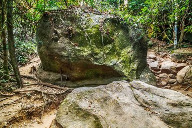 Kamboçya 'daki Kbal Spean Orman Yürüyüşü Ulusal Parkı