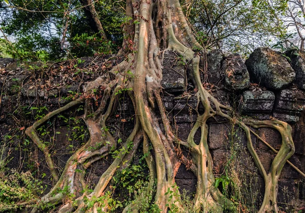 Ангкор - Ват Ландшафт Кох - Кер - Камбоджа — стокове фото