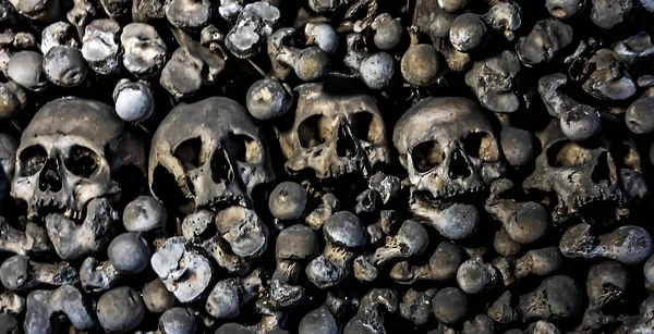 Caveiras de ossos humanos dia de Halloween de mortos — Fotografia de Stock