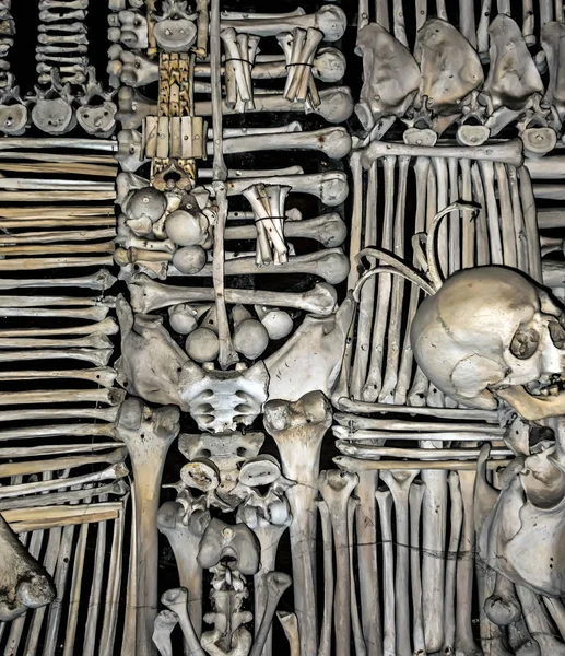 Teschi di ossa umane — Foto Stock