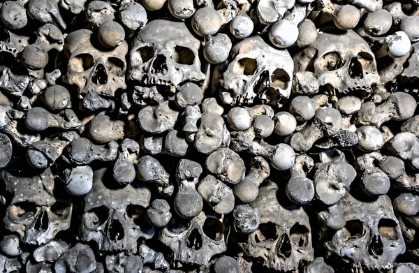 Crânios de ossos de esqueleto humano — Fotografia de Stock