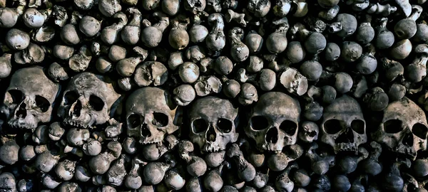 Teschi ossei scheletrici umani Memento più . — Foto Stock