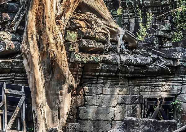 Angkor Arkeologiskt område i Kambodja — Stockfoto