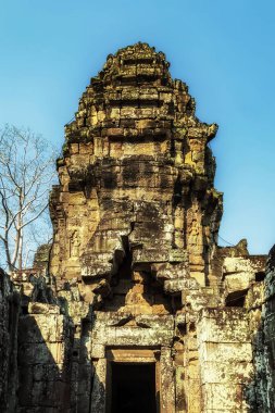 Siem Reap Kamboçya 'da kadim kalıntılar Wat gün doğumunda