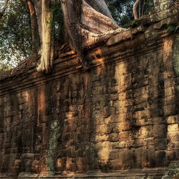 Angkor Wat Siem Reap Kambodja Asien Khmer civilisationen ruiner — Stockfoto