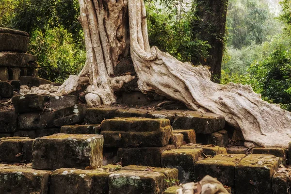 Angkor Wat Siem Reap Καμπότζη — Φωτογραφία Αρχείου