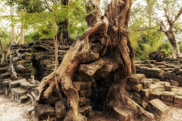 Ancient stone Angkor Wat Siem reap Cambodia. — Stock Photo, Image