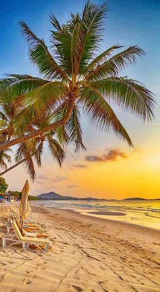 Mar paisagem verão — Fotografia de Stock