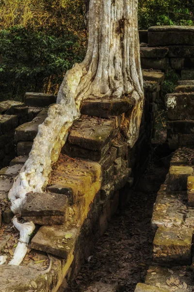 Templo antigo Angkor Wat complexo Parque Arqueológico em Siem Re — Fotografia de Stock