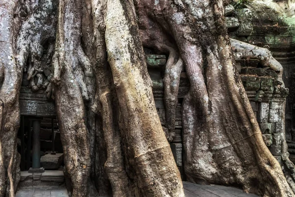 Antiguo templo Angkor Wat complejo Parque Arqueológico en Siem Re — Foto de Stock