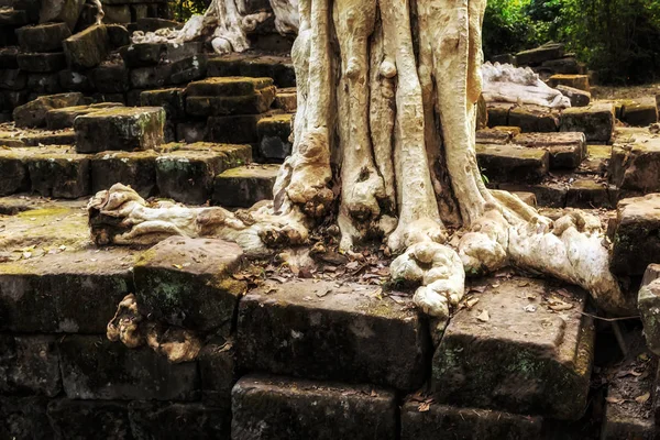 Ruínas antigas Wat nascer do sol em Siem Reap Camboja — Fotografia de Stock