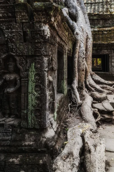 Starożytne ruiny Wat wschód słońca w Siem Reap Kambodża — Zdjęcie stockowe