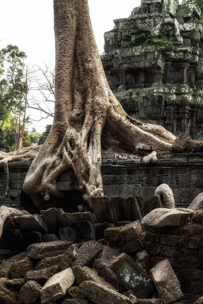 カンボジアのシェムリアップにあるアンコールワット考古学公園｜Unesco Wor — ストック写真