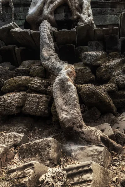 Angkor Wat Oude ruïnes tempel Cambodja — Stockfoto