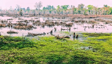 Kamboçya Hindiçin Keşfi