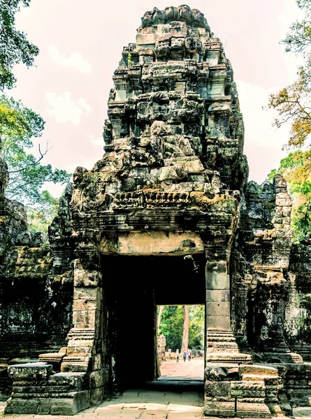Джунгли Ангкора, Камбоджа — стоковое фото