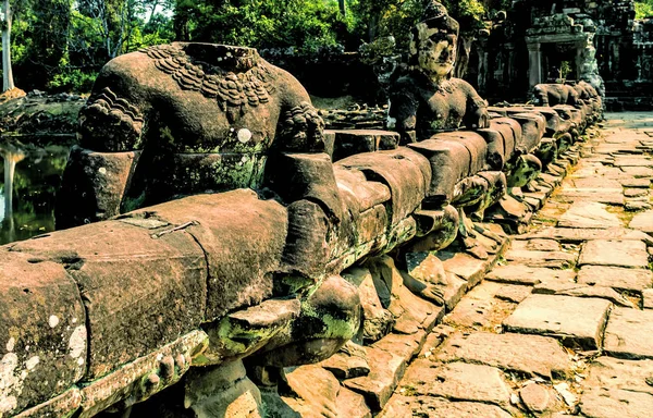 Angkor Wat Lost City — 스톡 사진