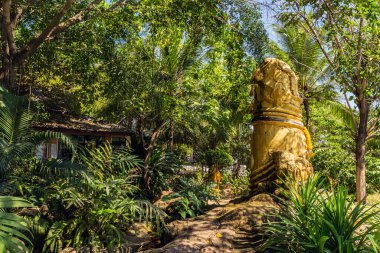 Gold phallus sculpture penis Koh Samui island, Thailand clipart