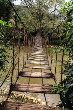 Eski tahta ayak köprüsü Tropikal orman