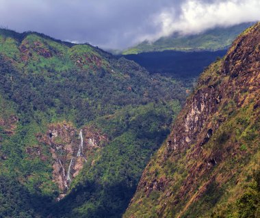 Ufukta büyük ağaçları ve dağları olan güzel yeşil tepeler. Yaz manzarası Sapa, Vietnam.