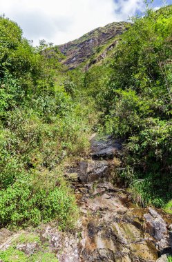 Panoramik güzel derin orman şelalesi manzarası. Şelale nehri.
