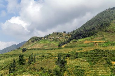 Vietnam Dağları Köy Evi Yeşil çimenler ve mavi gökyüzü ile doğal manzara