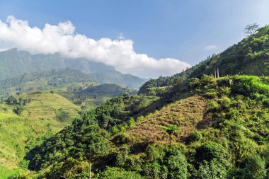 Dağ bulutu manzaralı arazi manzarası. Dağ zirvesi mavi gökyüzü beyaz bulutlar panorama. Vietnam manzaraları.