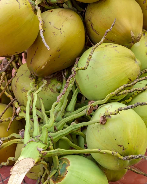 Kokosnötter Tropiska Frukter Nöt Kokospalm Bakgrund — Stockfoto